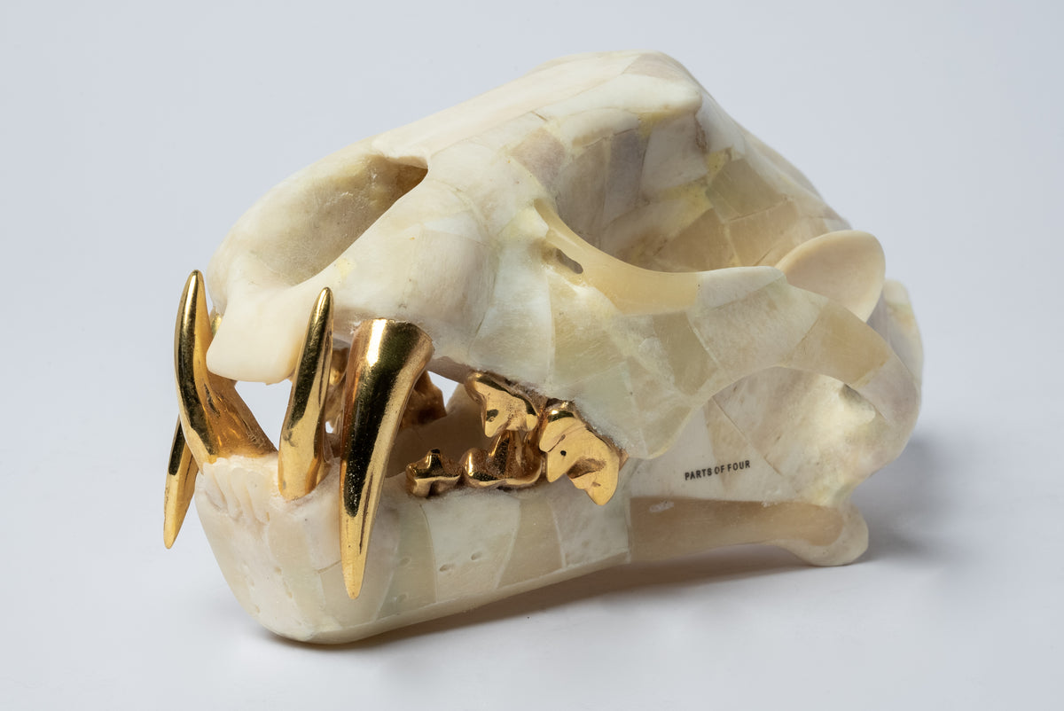Leopard Skull (MB+YG) – Parts of Four