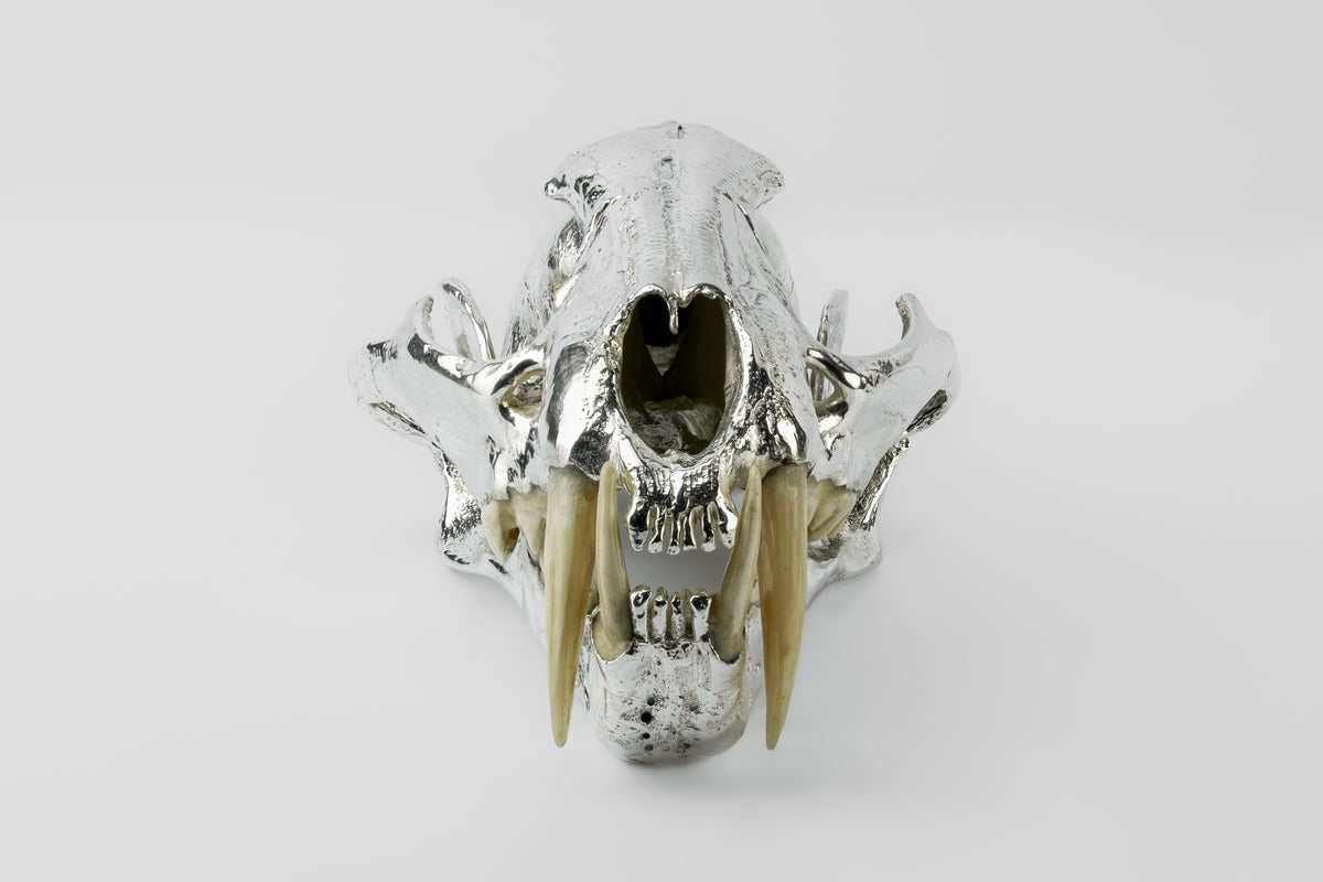 00s roen leopard skull レオパード スカル 骸骨 ジャージ 00s roen leopard skull レオパード スカル 骸骨 ジャージ