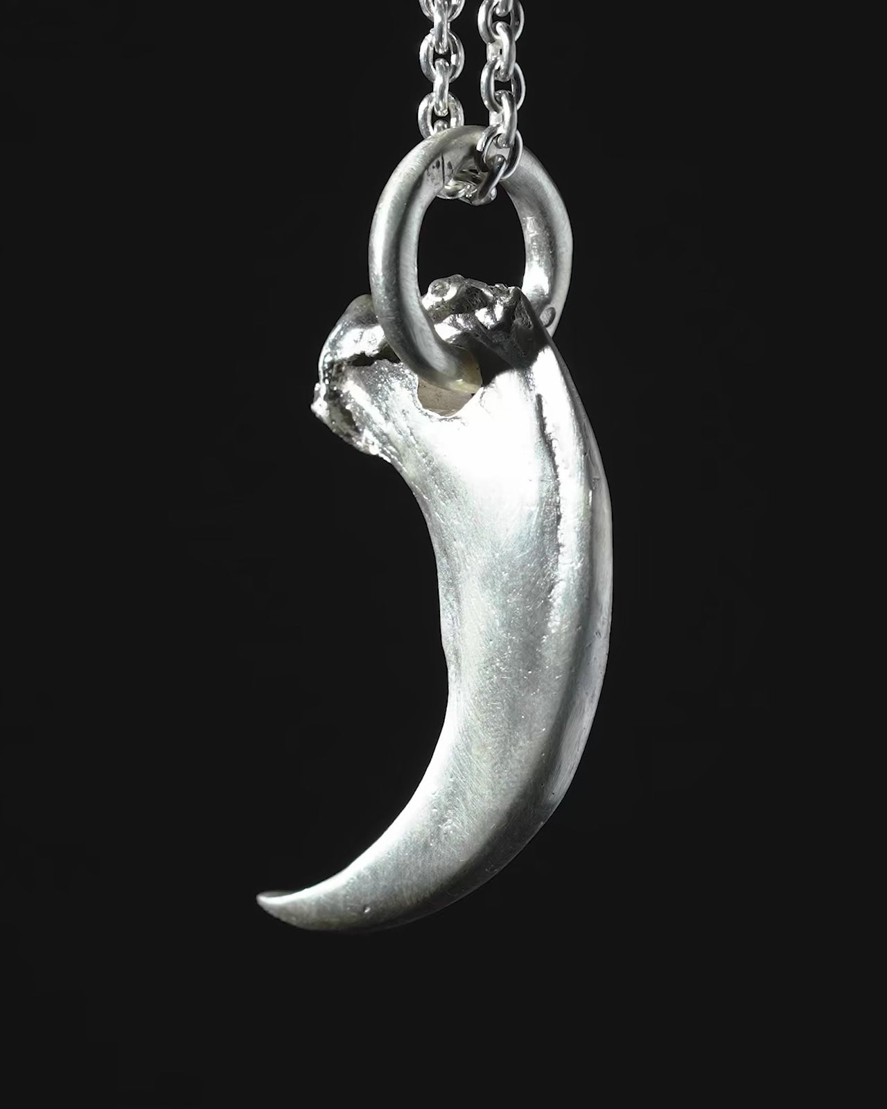 ネックレス・ペンダント Bear's two-claw necklace Bear Claw Guardian Necklace